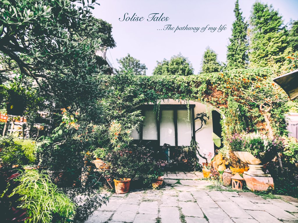 綠海咖啡☕️| GREEN SEA CAFE | 田尾鄉