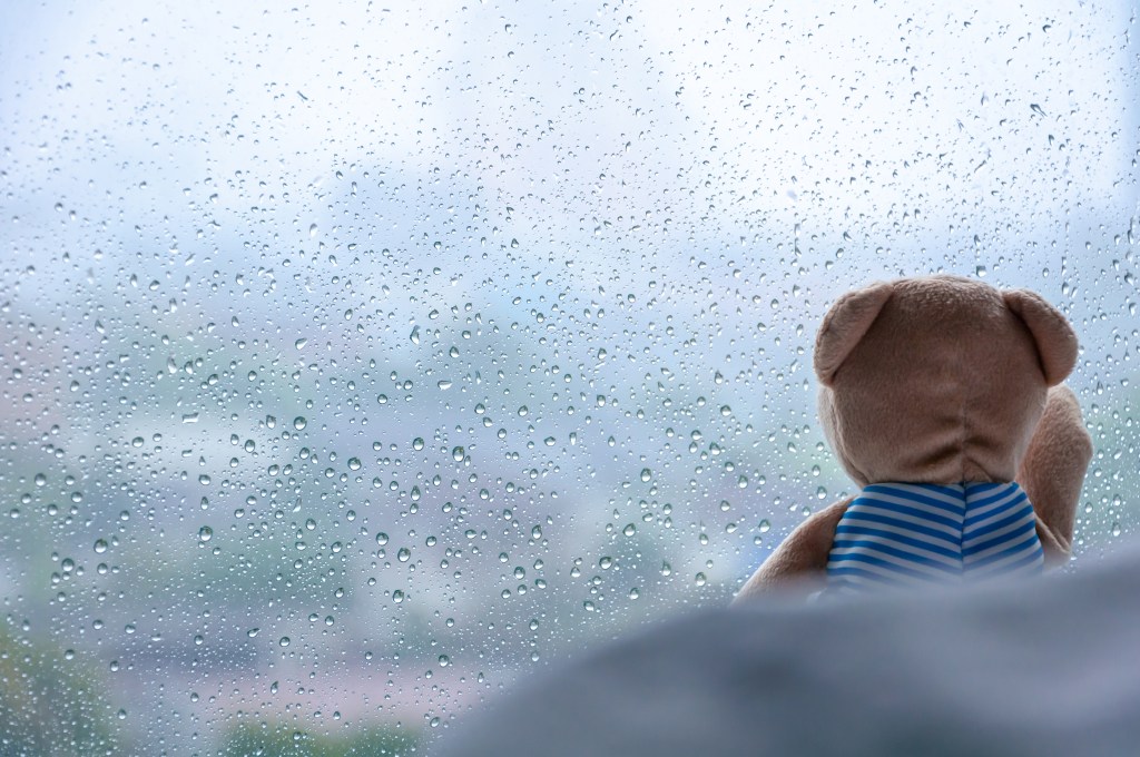 “CON THỨ” VÀ “NGOẠI HÌNH” CÓ GÌ MÀ ĐÁNG QUAN TÂM?